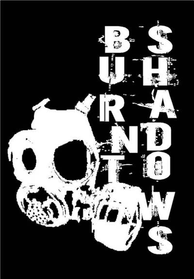 logo Burnt Shadows